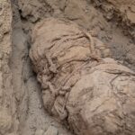 Descubren el que podría ser el sacrificio masivo de niños más antiguo de Perú