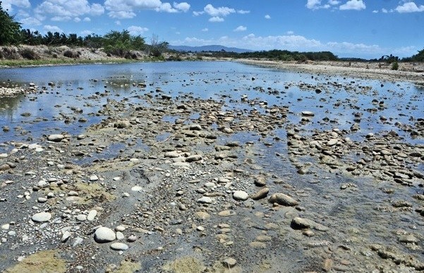 Los ríos de RD van rumbo a secarse, según presidente de la Academia de Ciencias